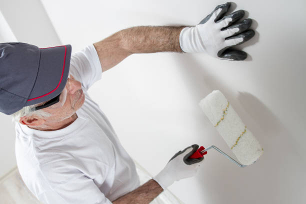 Best Environmental Consulting for Mold Prevention  in Luckey, OH