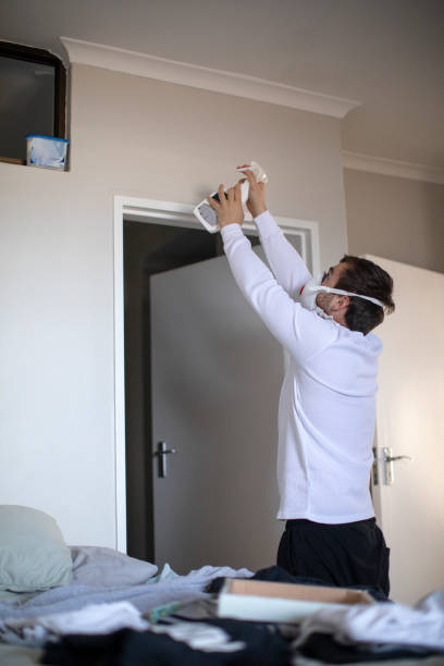 Best Mold Prevention Services  in Luckey, OH