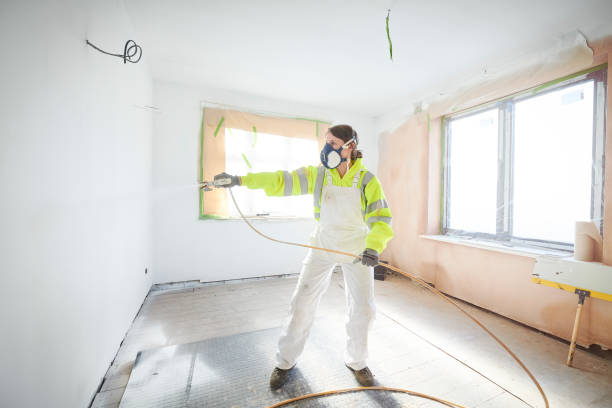 Best Mold Removal for HVAC Installations  in Luckey, OH