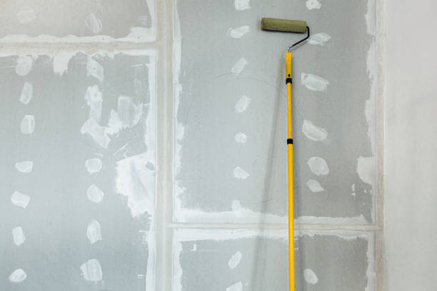 Best Comprehensive Air Testing for Mold Contaminants  in Luckey, OH