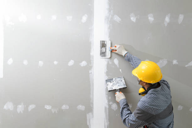 Best Mold Odor Removal Services  in Luckey, OH