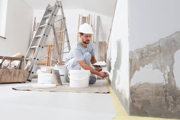 Best Attic Mold Removal  in Luckey, OH