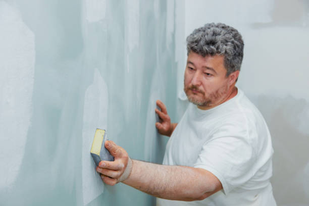  Luckey, OH Mold Removal Pros