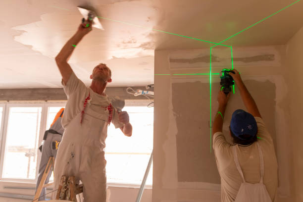 Reliable Luckey, OH Mold Removal Solutions